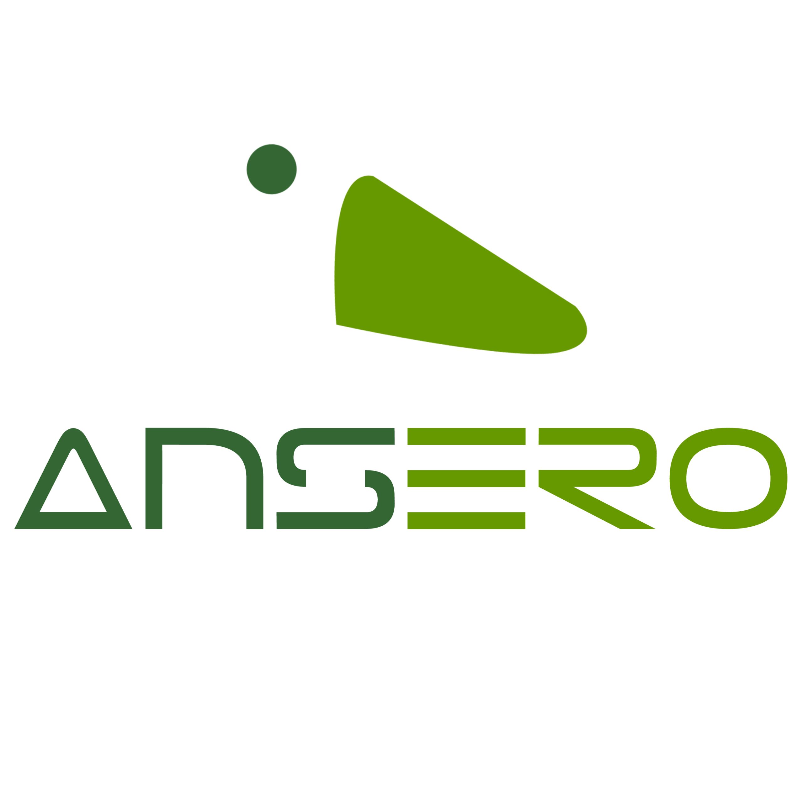 Logo_ansero